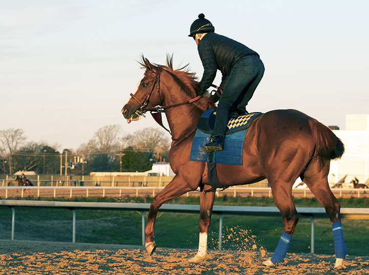 Improbable at Oaklawn on March 15