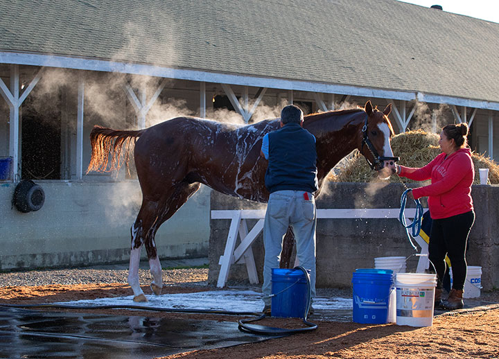 Improbable Churchill Downs barn area