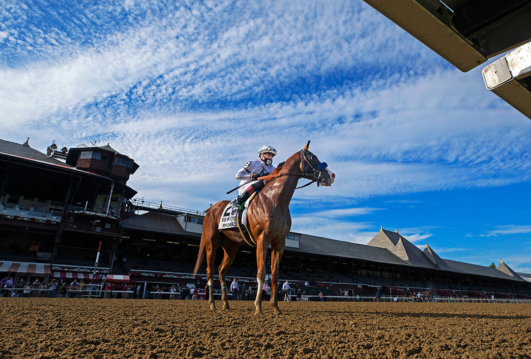 Improbable after winning the Whitney Stakes at Saratoga Race Course