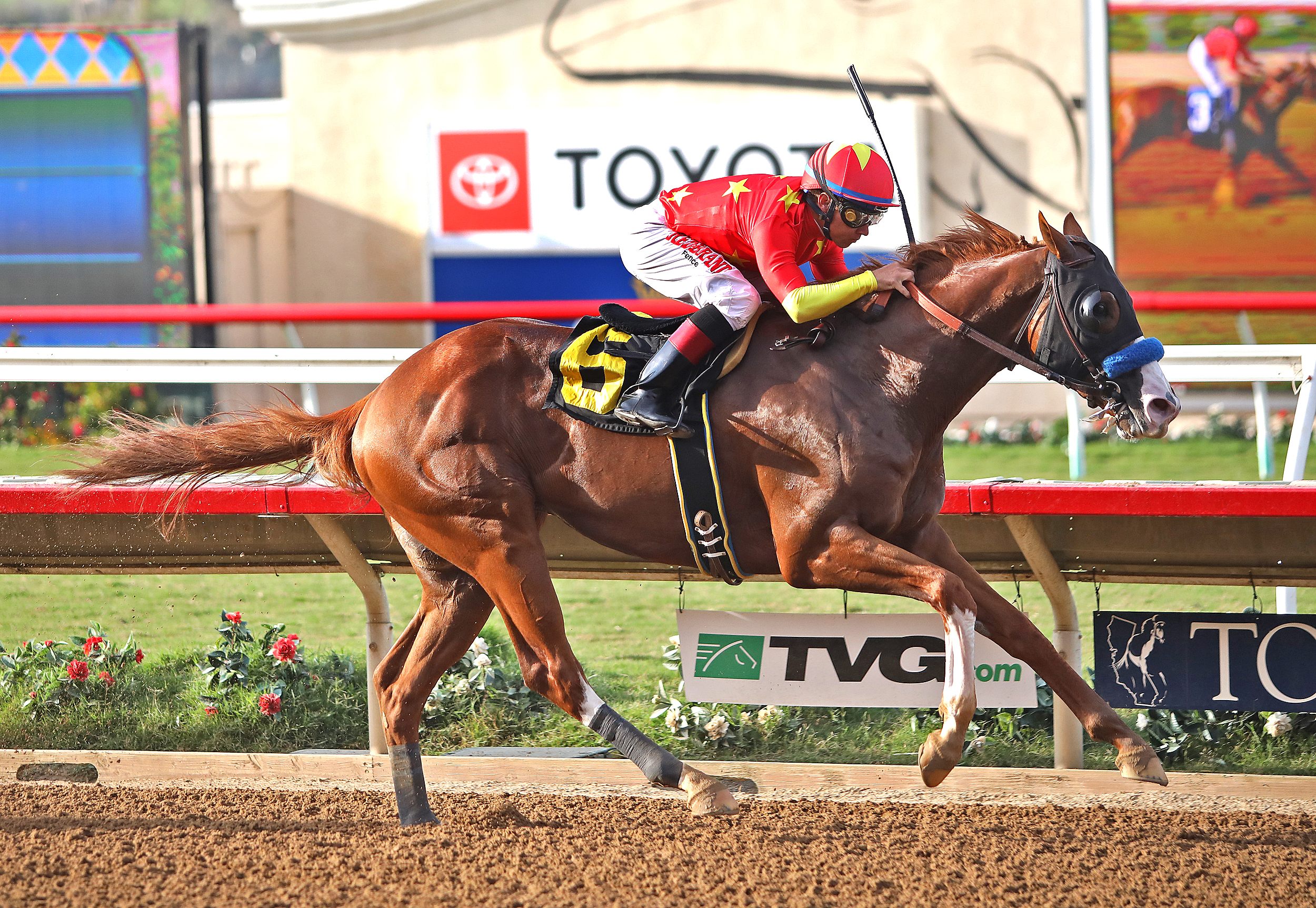 Improbable, Shared Belief