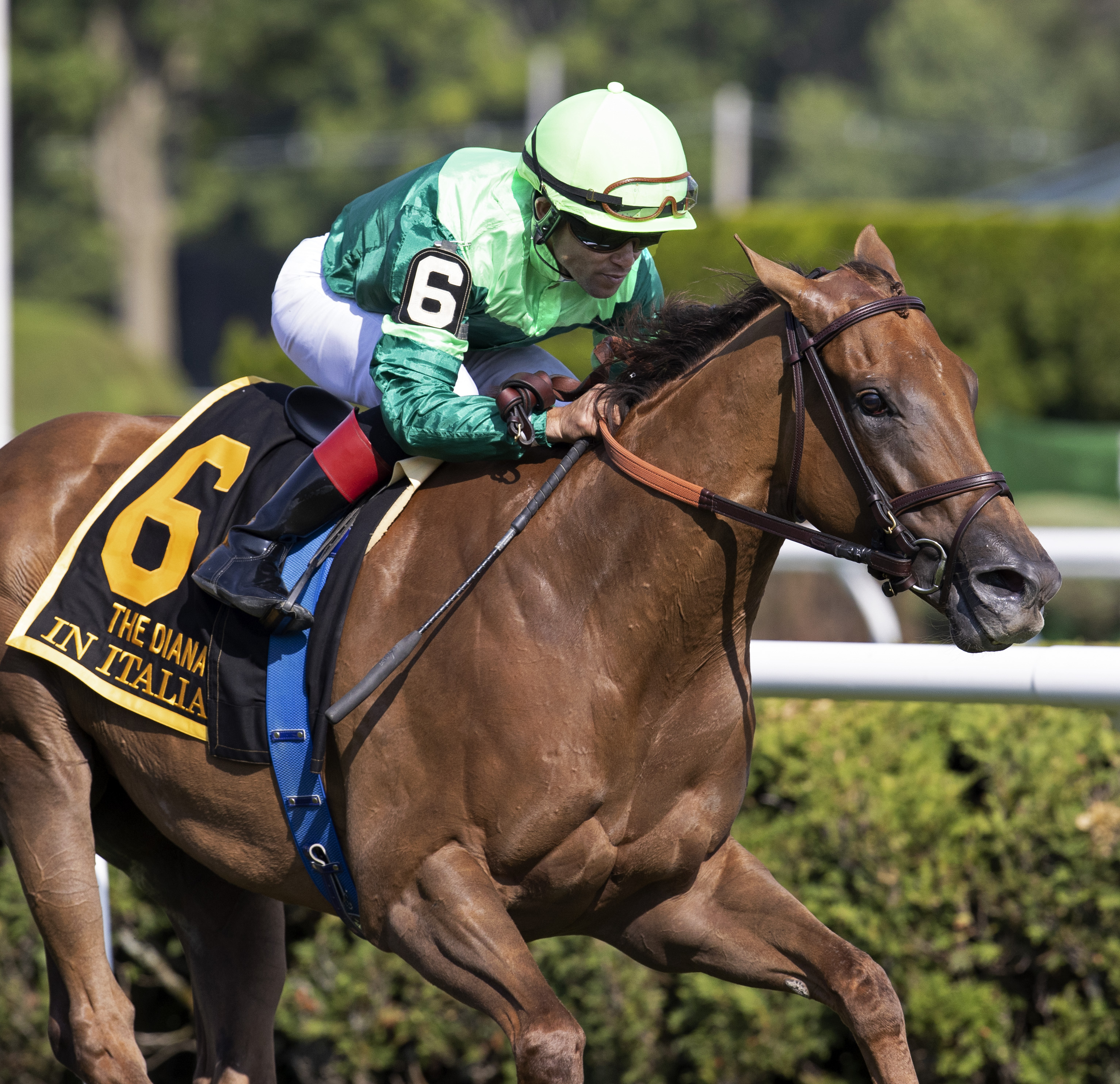 In Italian wins Diana Stakes 7-16-2022