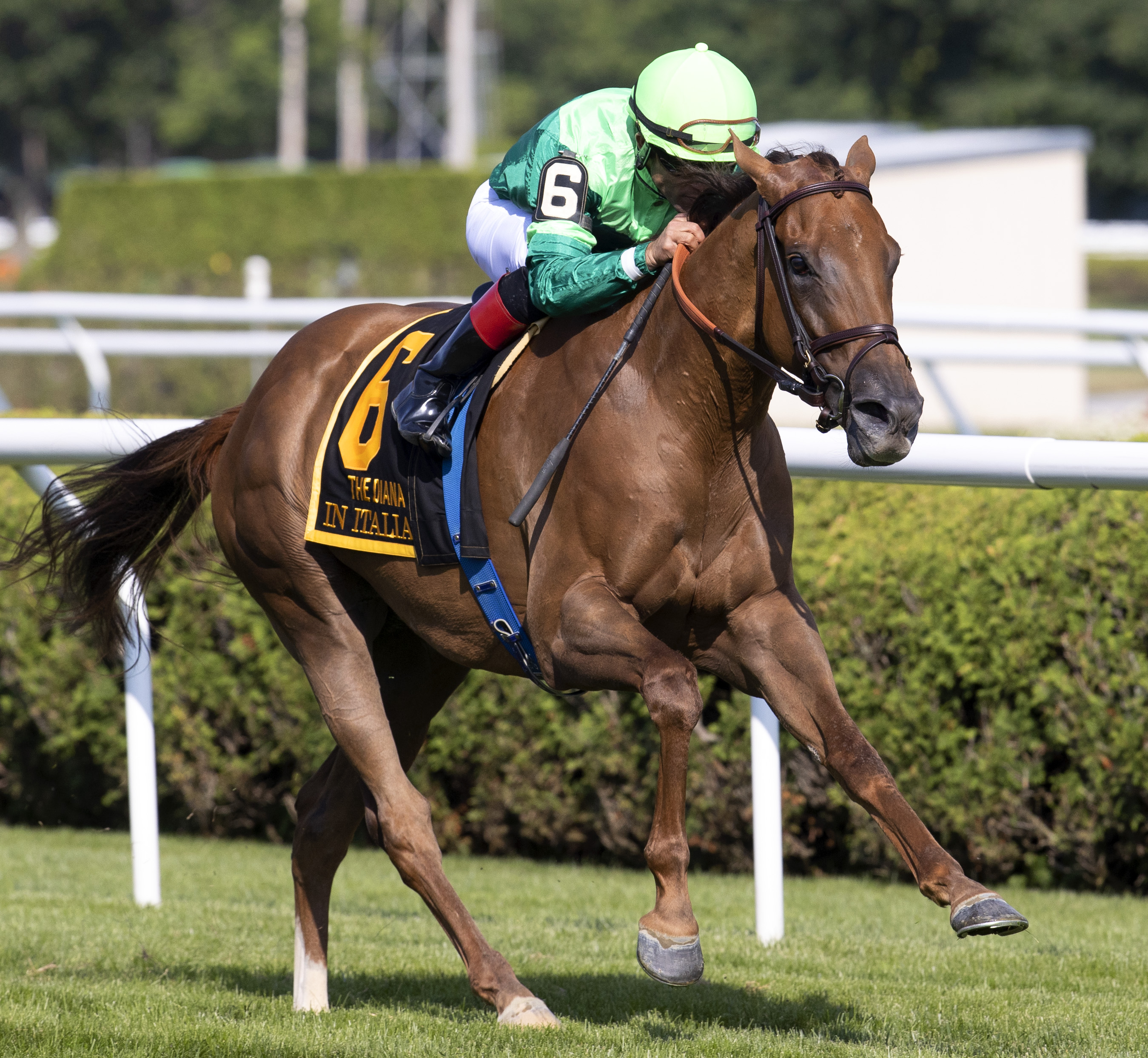 In Italian wins Diana Stakes 7-16-2022