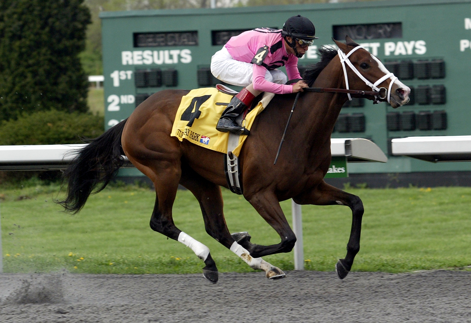 In Lingerie, Bourbonette Stakes