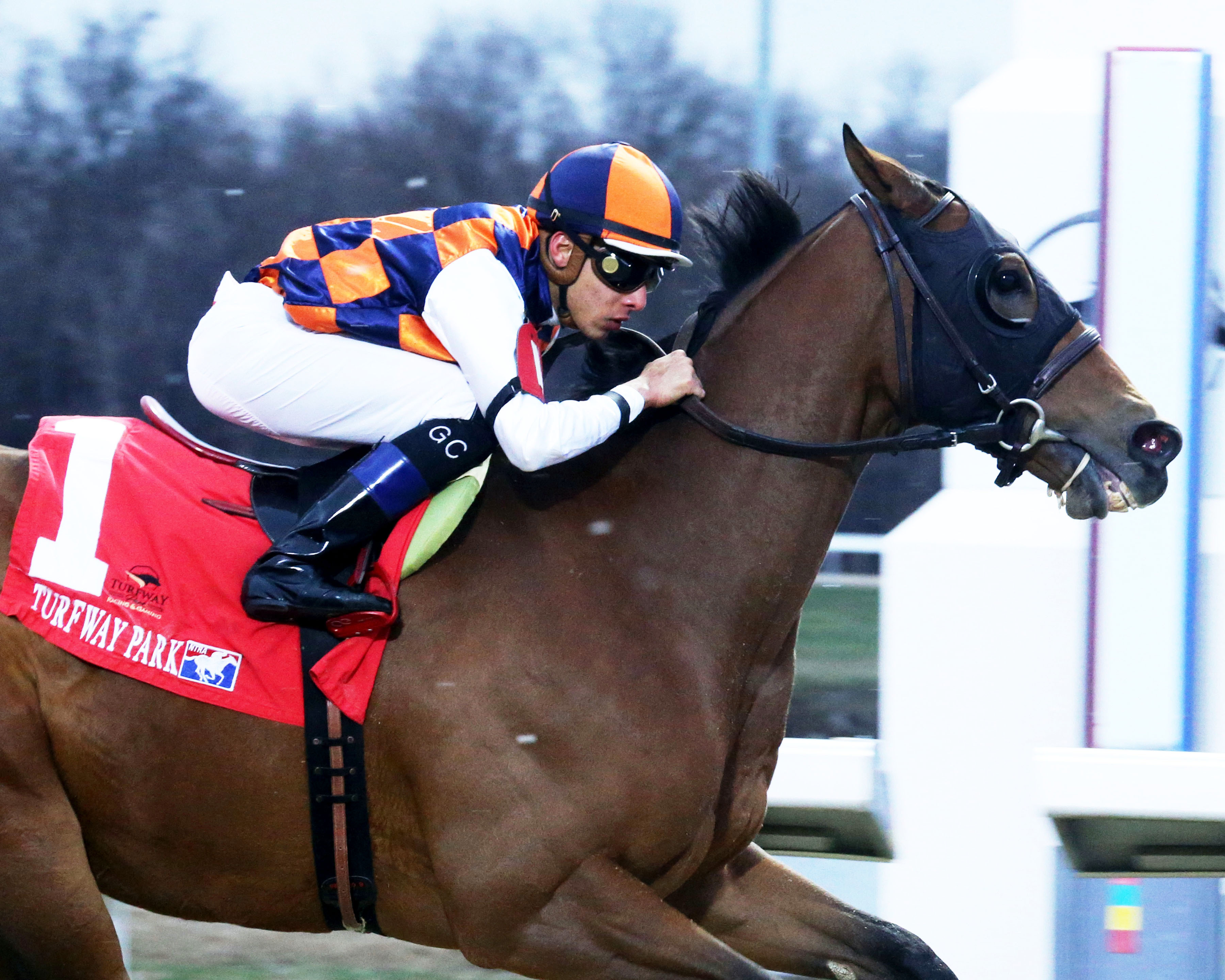 In Love wins the Prairie Bayou at TP Dec 17 2022