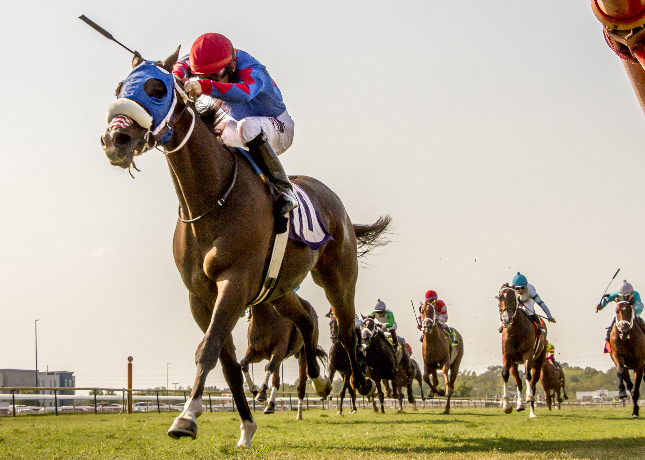 In the Navy wins the 2019 Frank L. Brothers Stakes