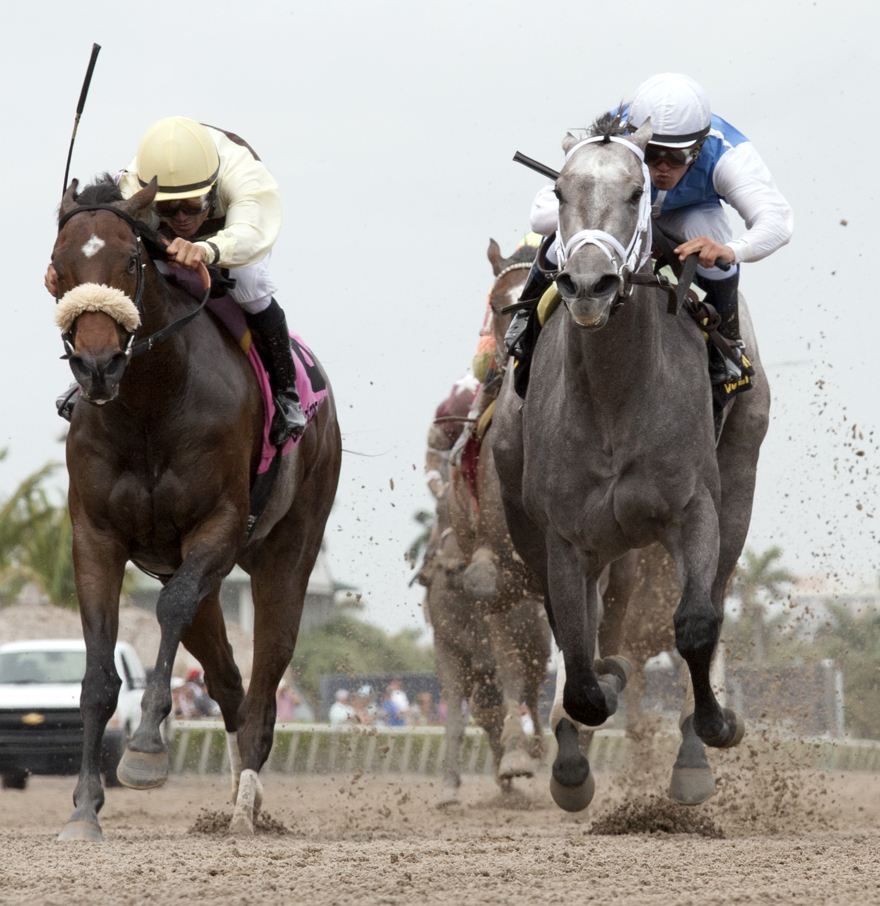 House Rules finishes second to In Tune in the Gulfstream Oaks