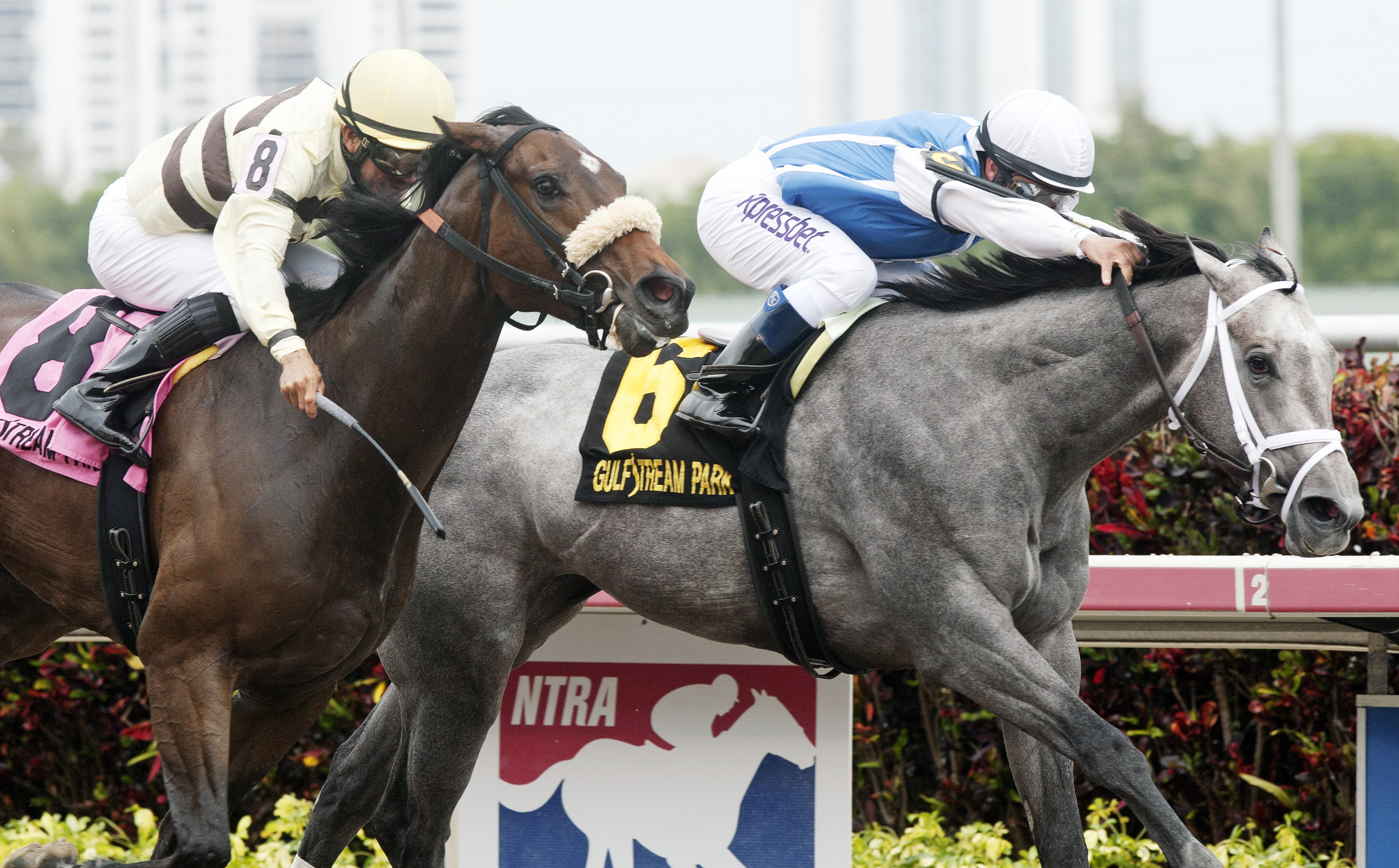 House Rules finishes second to In Tune in the Gulfstream Oaks