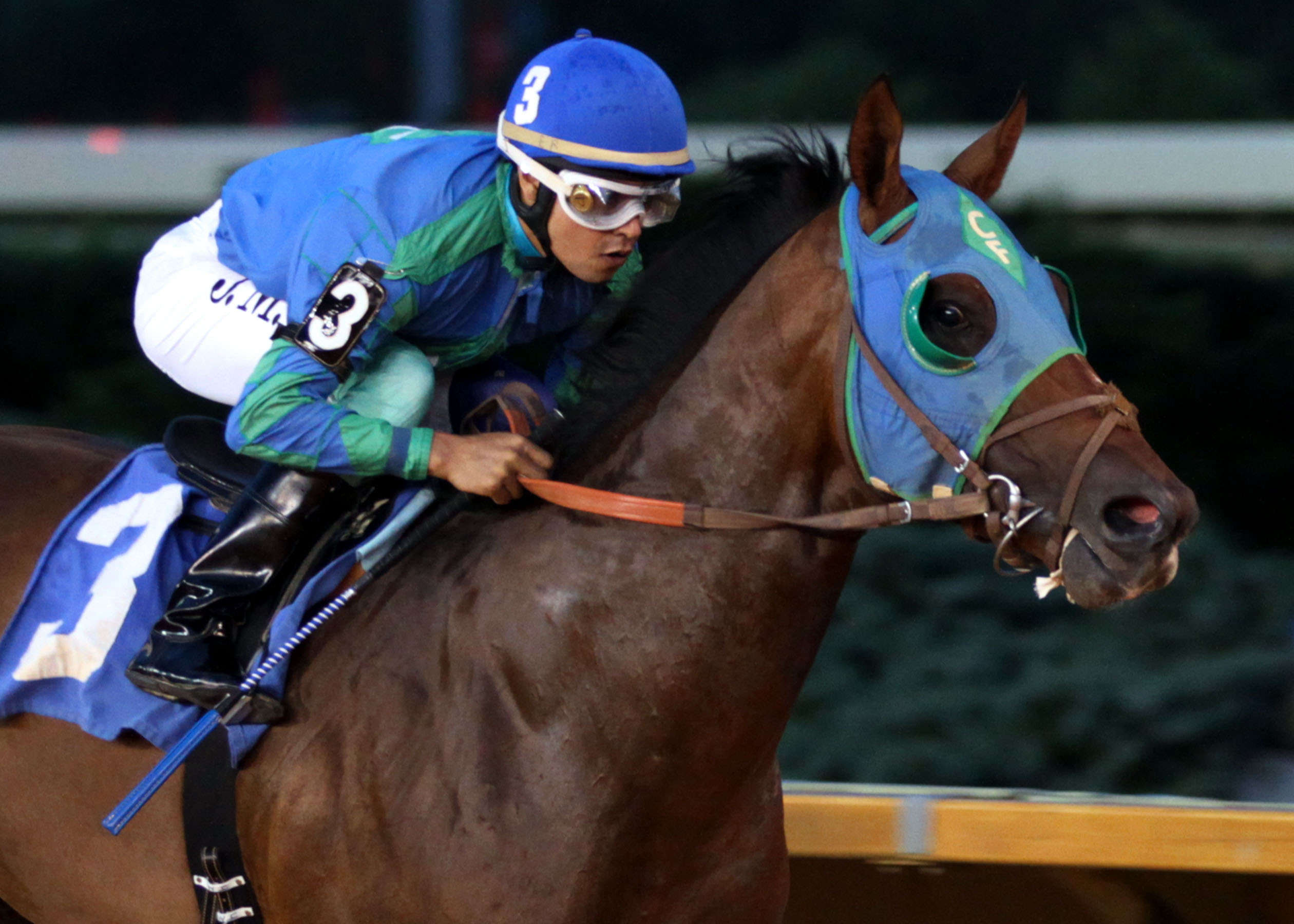 In the Fairway, Coin Collector Stakes