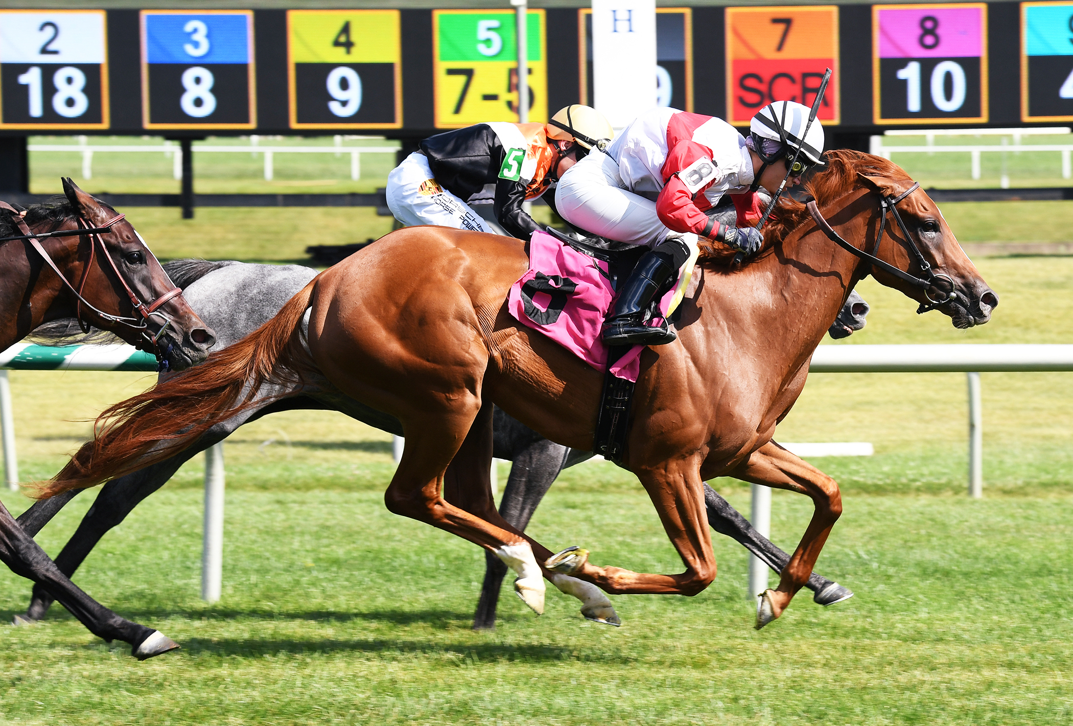 In the Lee wins a June 30 maiden race