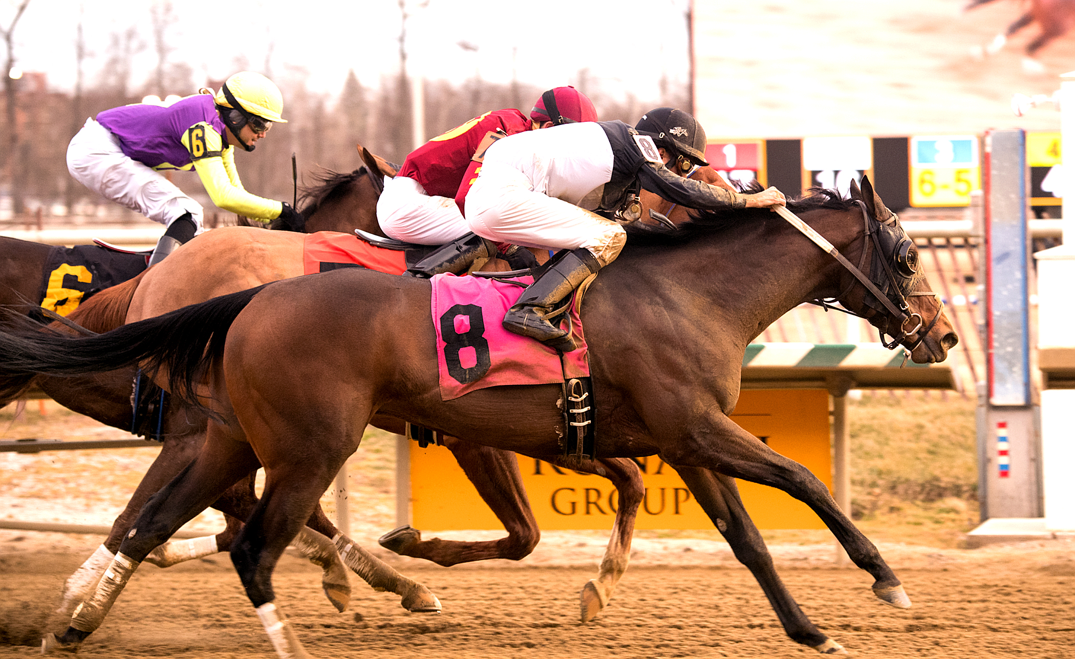 In the Navy Now -8- wins the 2018 Nellie Morse
