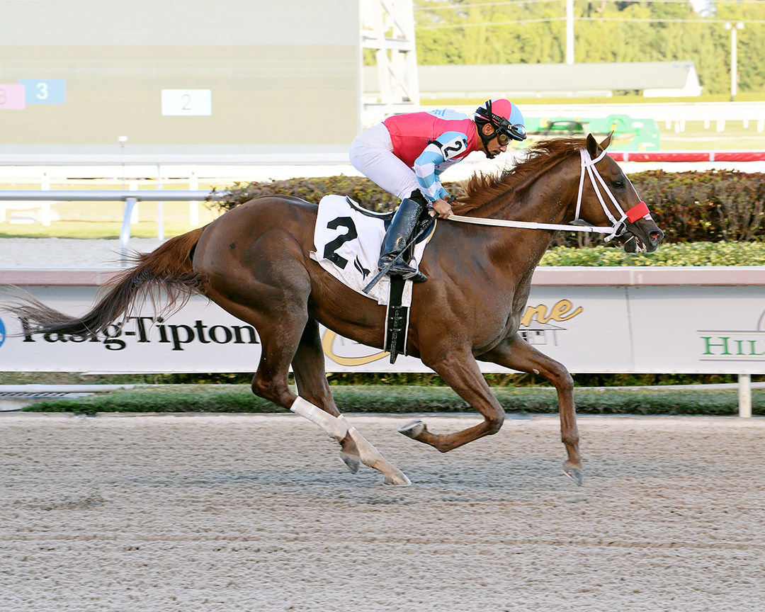 In Due Time wins a Feb. 4 allowance at Gulfstream Park