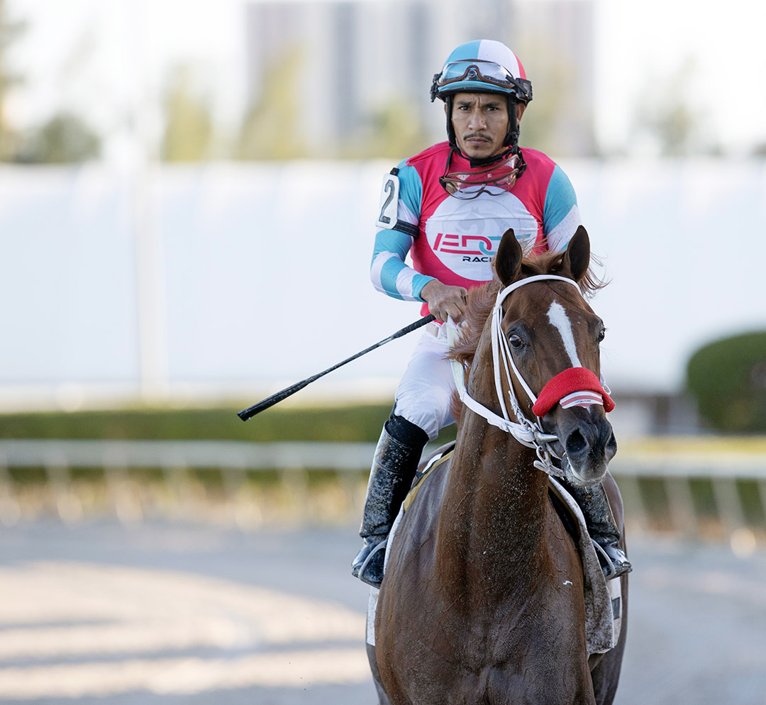 In Due Time after winning a Feb. 4 allowance at Gulfstream Park