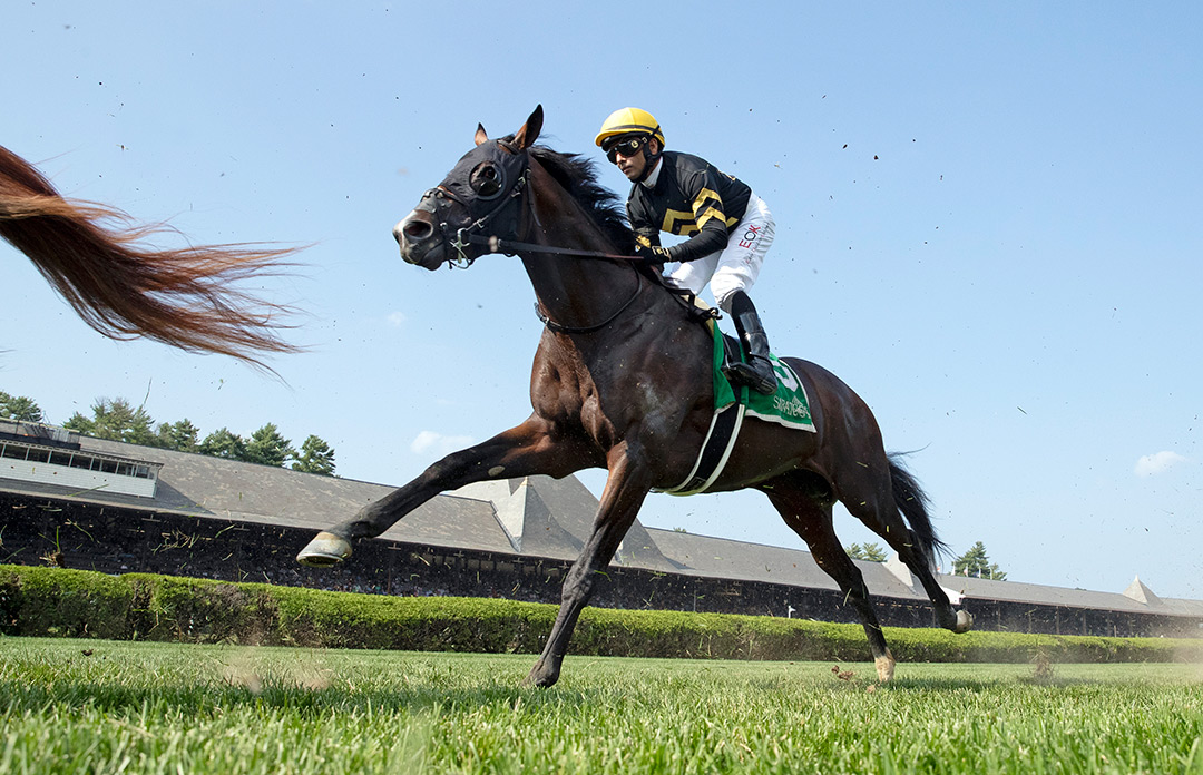 In Effect finishes third in the National Museum of Racing Hall of Fame Stakes at Saratoga