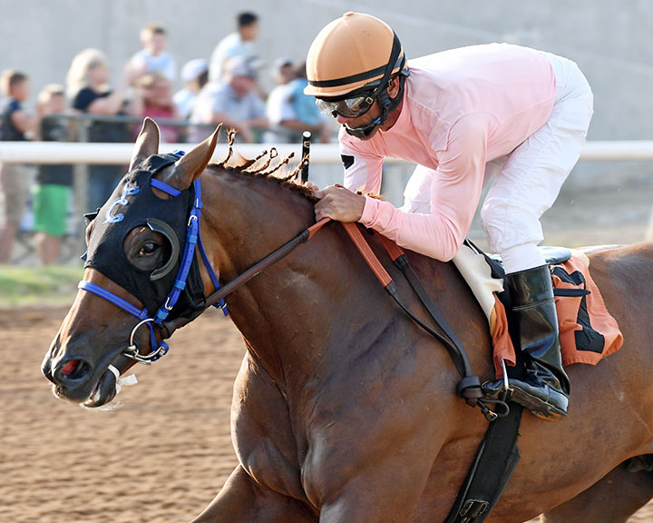 Inagoodway wins the 2018 Fair Meadows Distance Distaff