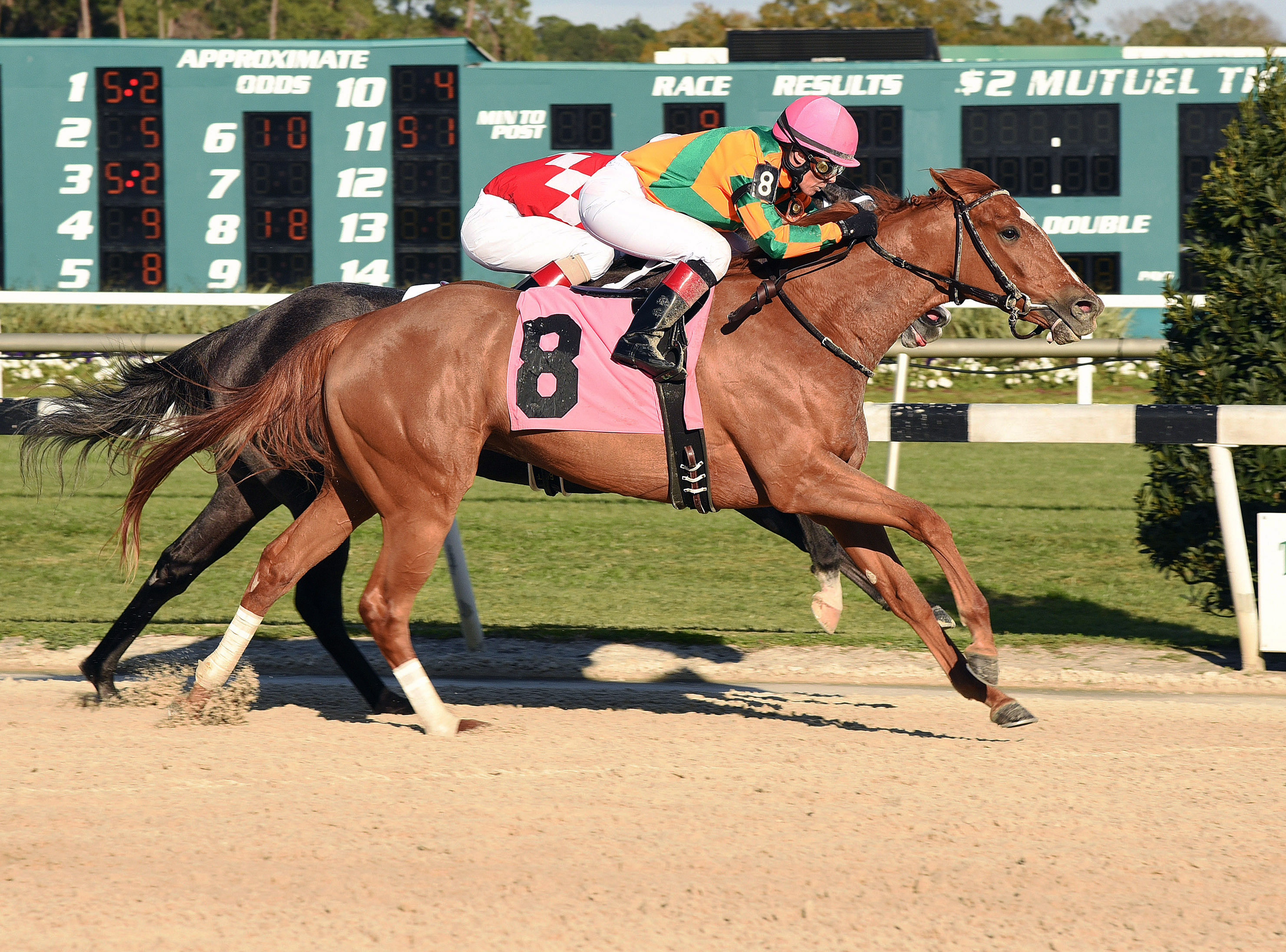 Include Betty wins the Suncoast Stakes