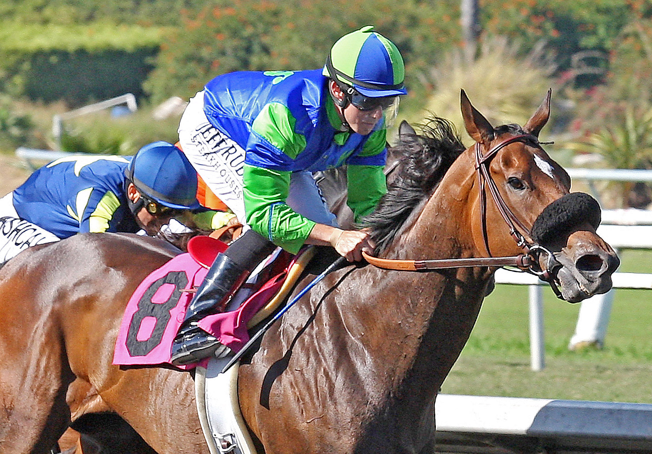 Include Me Out, Desert Stormer Handicap