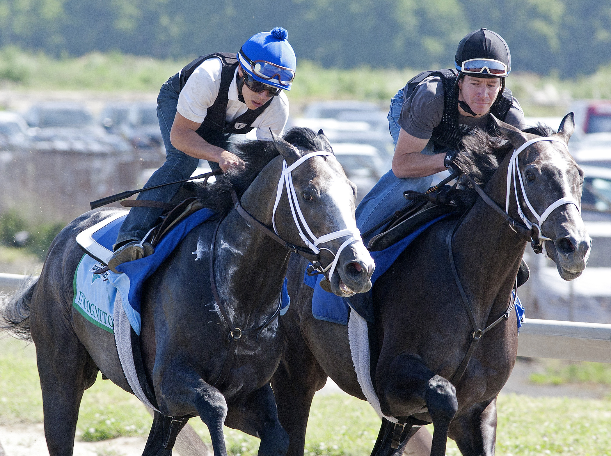 Incognito, Irsaal training at Belmont