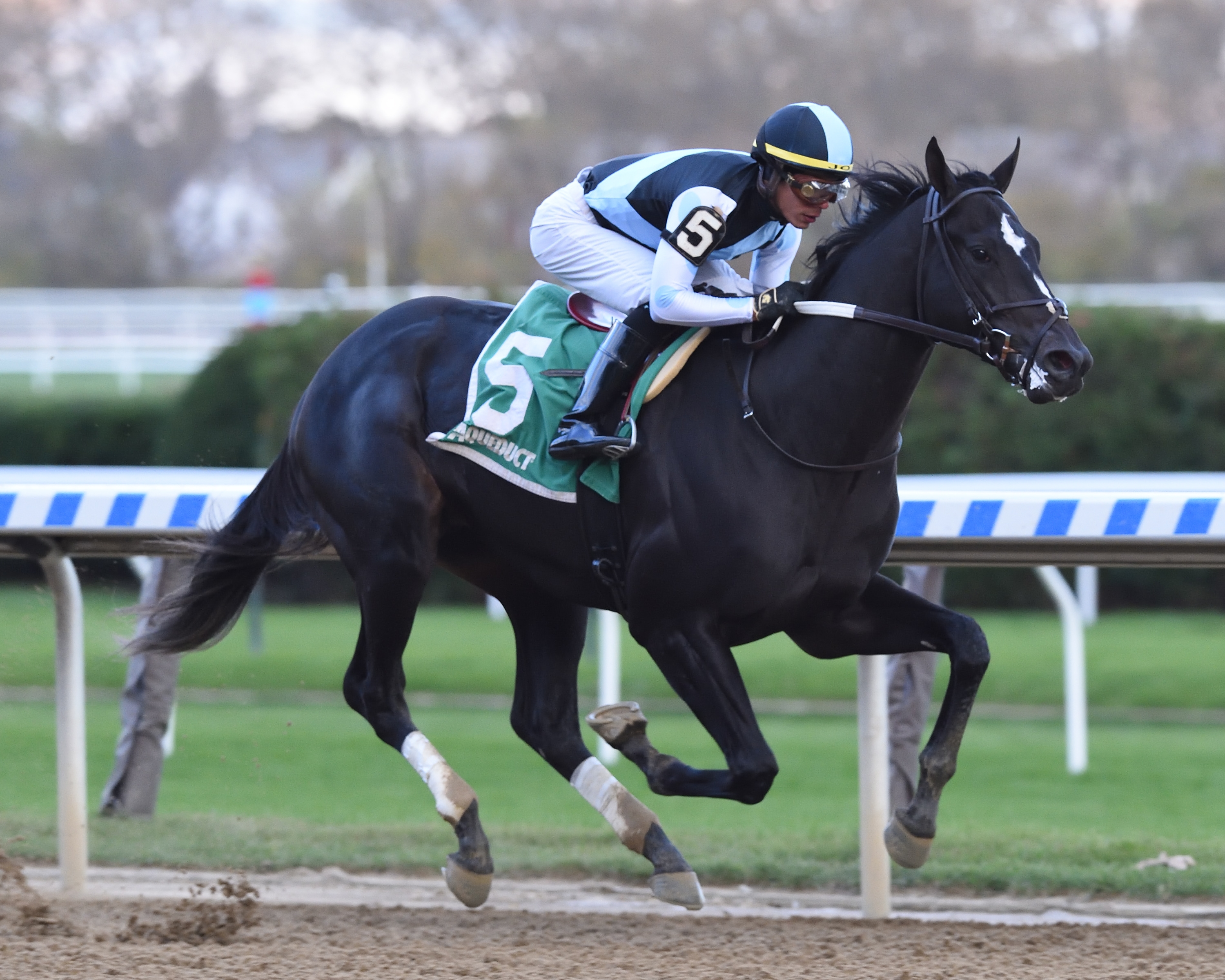 Independence Hall wins the 2019 Nashua Stakes