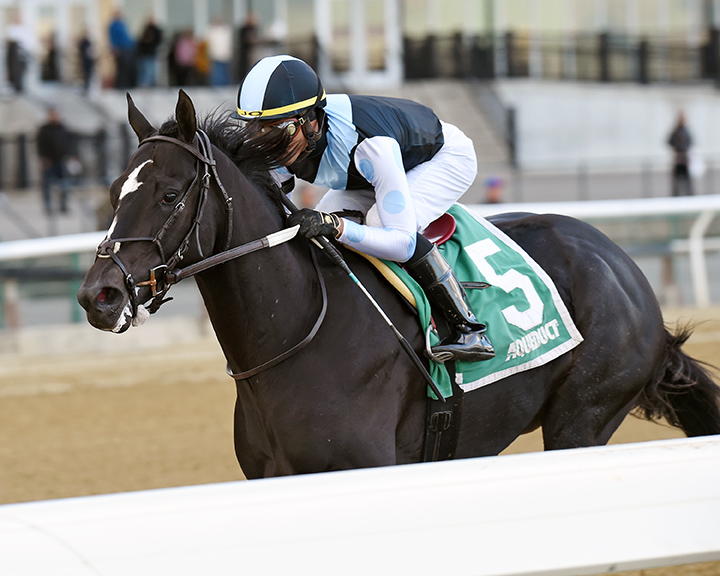 Independence Hall wins the 2019 Nashua Stakes at Aqueduct Racetrack