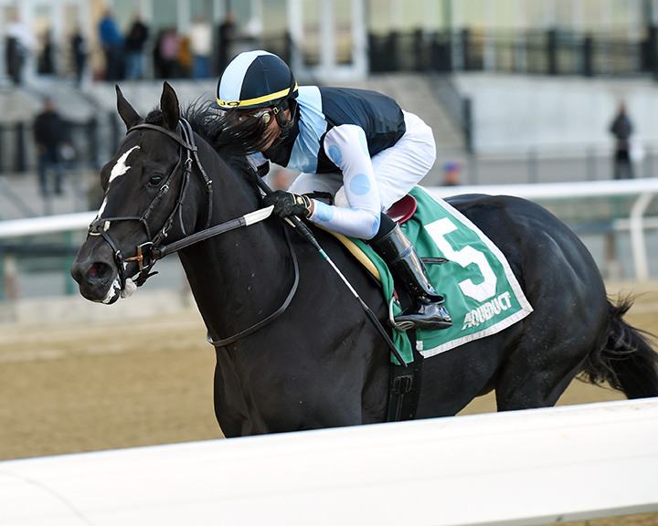 Independence Hall wins the 2019 Nashua Stakes at Aqueduct Racetrack