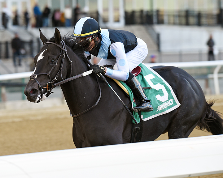 Independence Hall wins the 2019 Nashua Stakes at Aqueduct Racetrack