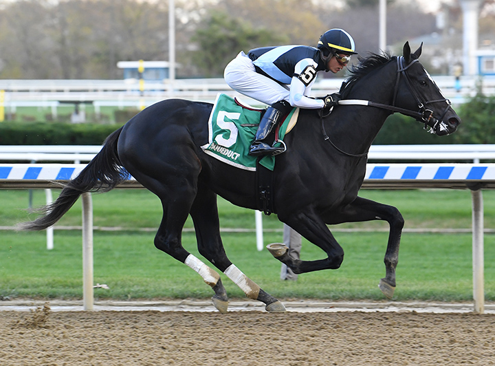 Independence Hall wins the 2019 Nashua Stakes at Aqueduct Racetrack