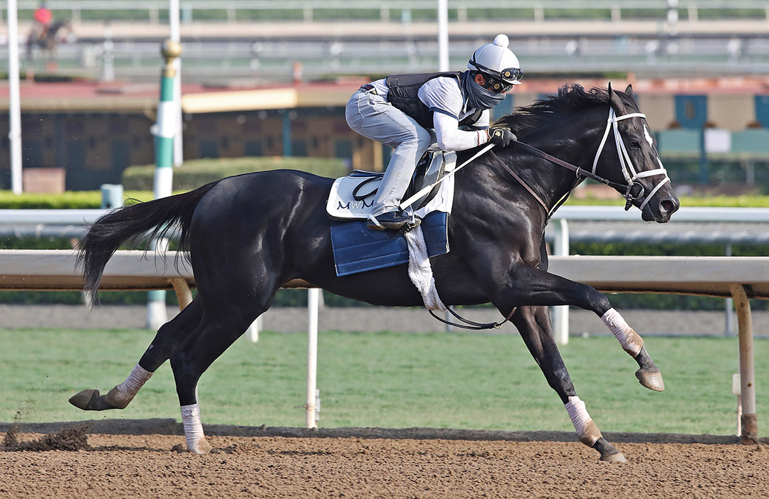 Independence Hall trains at Santa Anita Park in September 2020