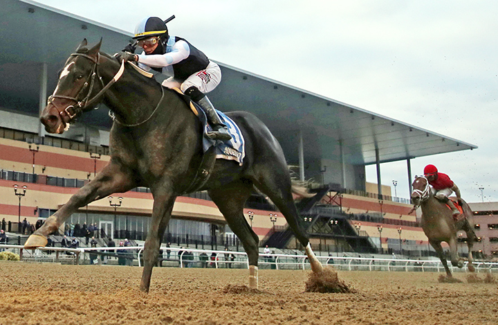 Independence Hall wins the 2020 Jerome Stakes at Aqueduct Racetrack