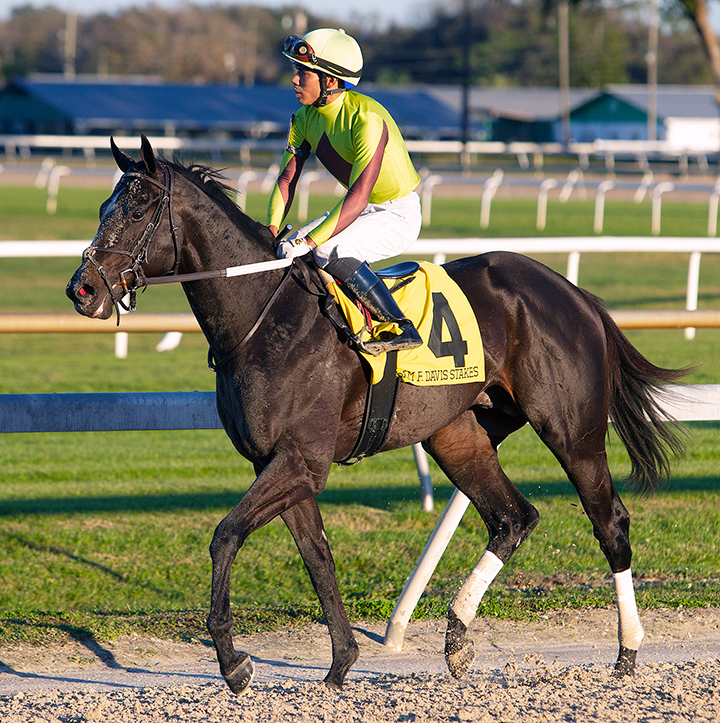 Independence Hall after finishing second in the Sam F. Davis Stakes at Tampa Bay Downs
