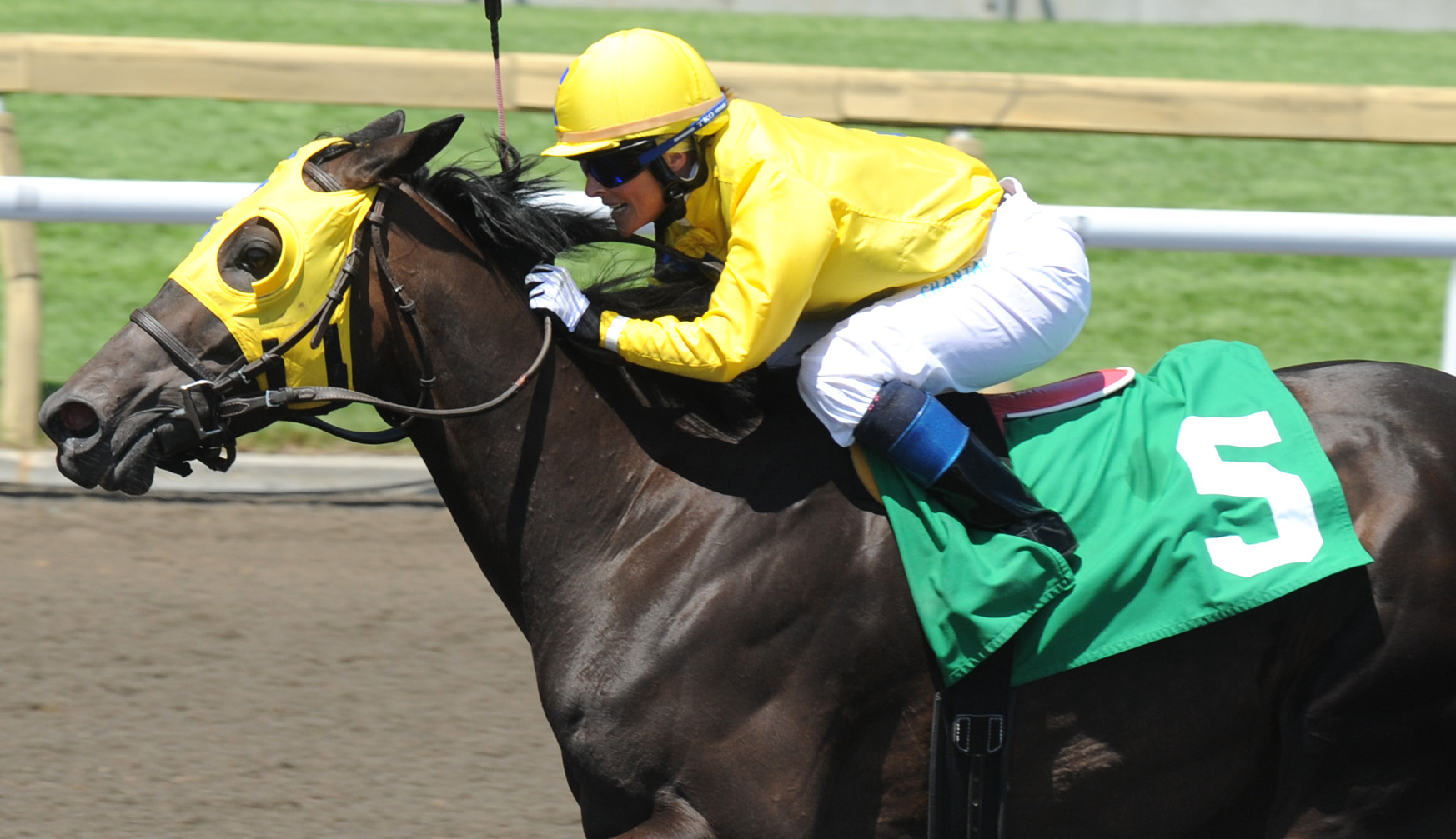 Indian Apple Is 7-2010