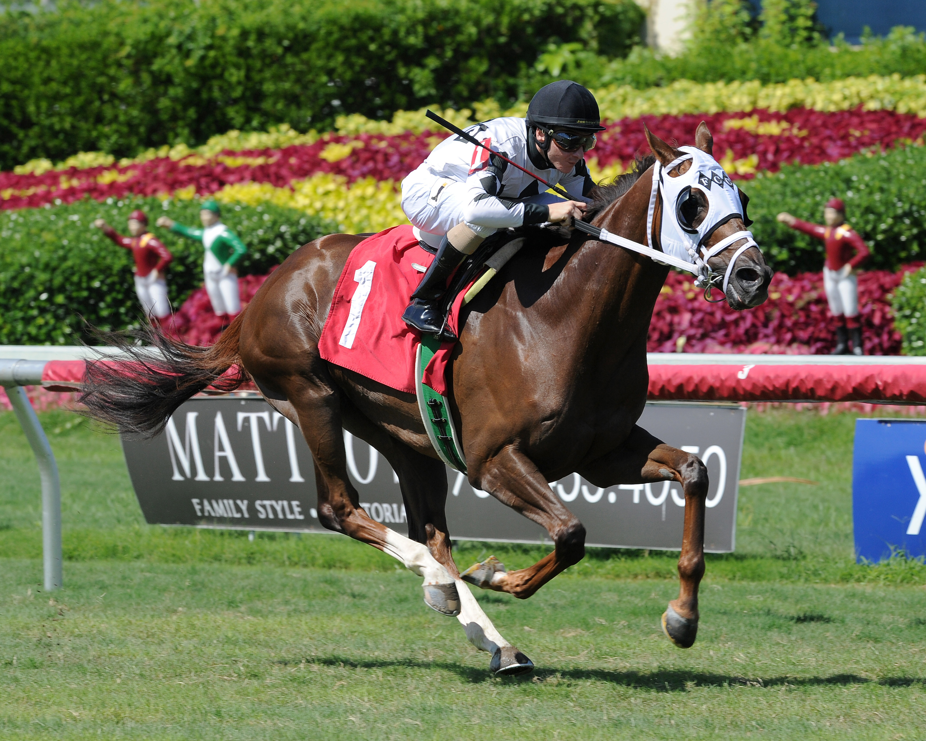 Indian Guide wins a May 29, 2016 allowance race