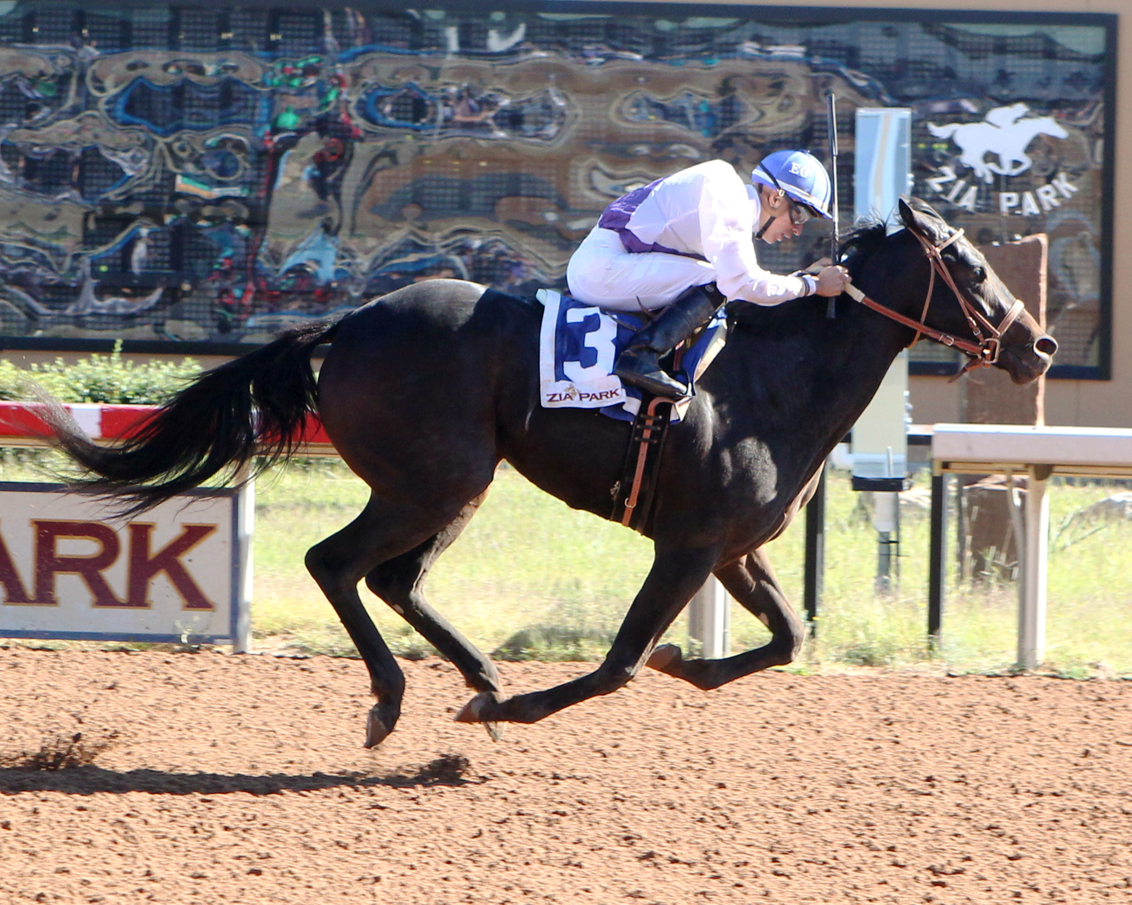 Indian Tiva wins the New Mexico Classic Cup Lassie Championship