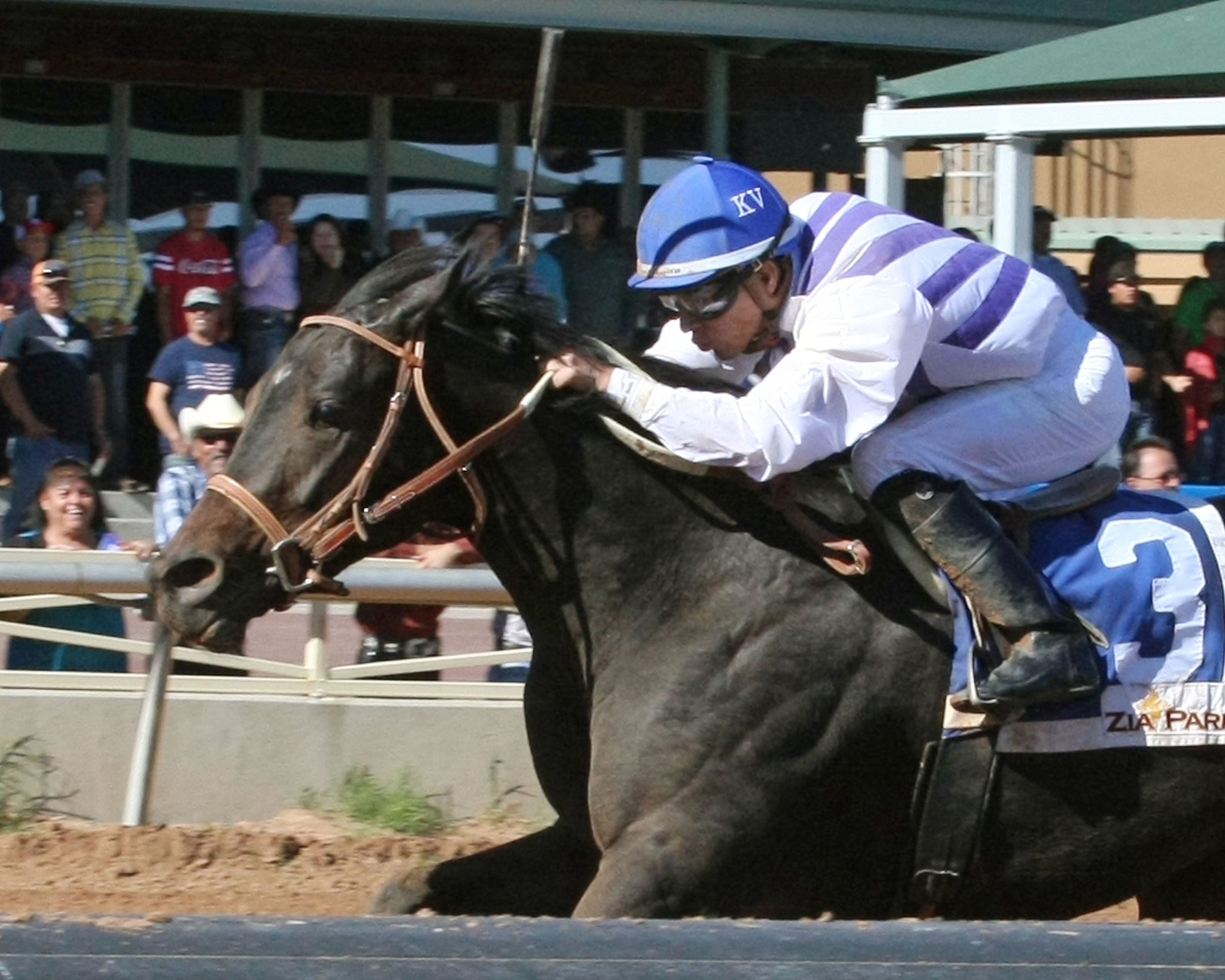 Indian Tiva wins the New Mexico Classic Cup Lassie Championship