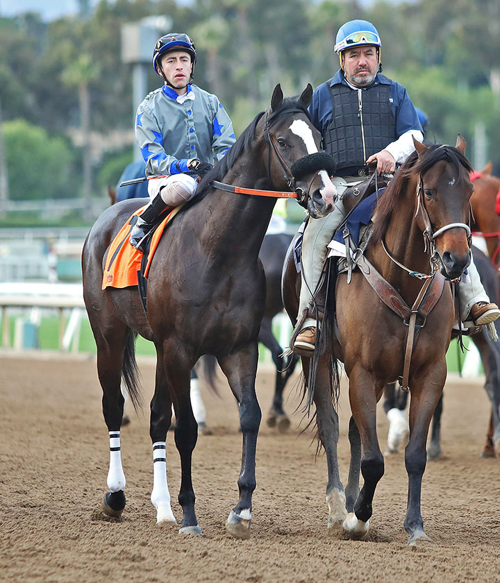 Indian Peak at Santa Anita Park in January 2020