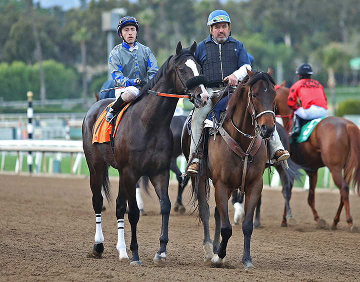Indian Peak at Santa Anita Park in January 2020