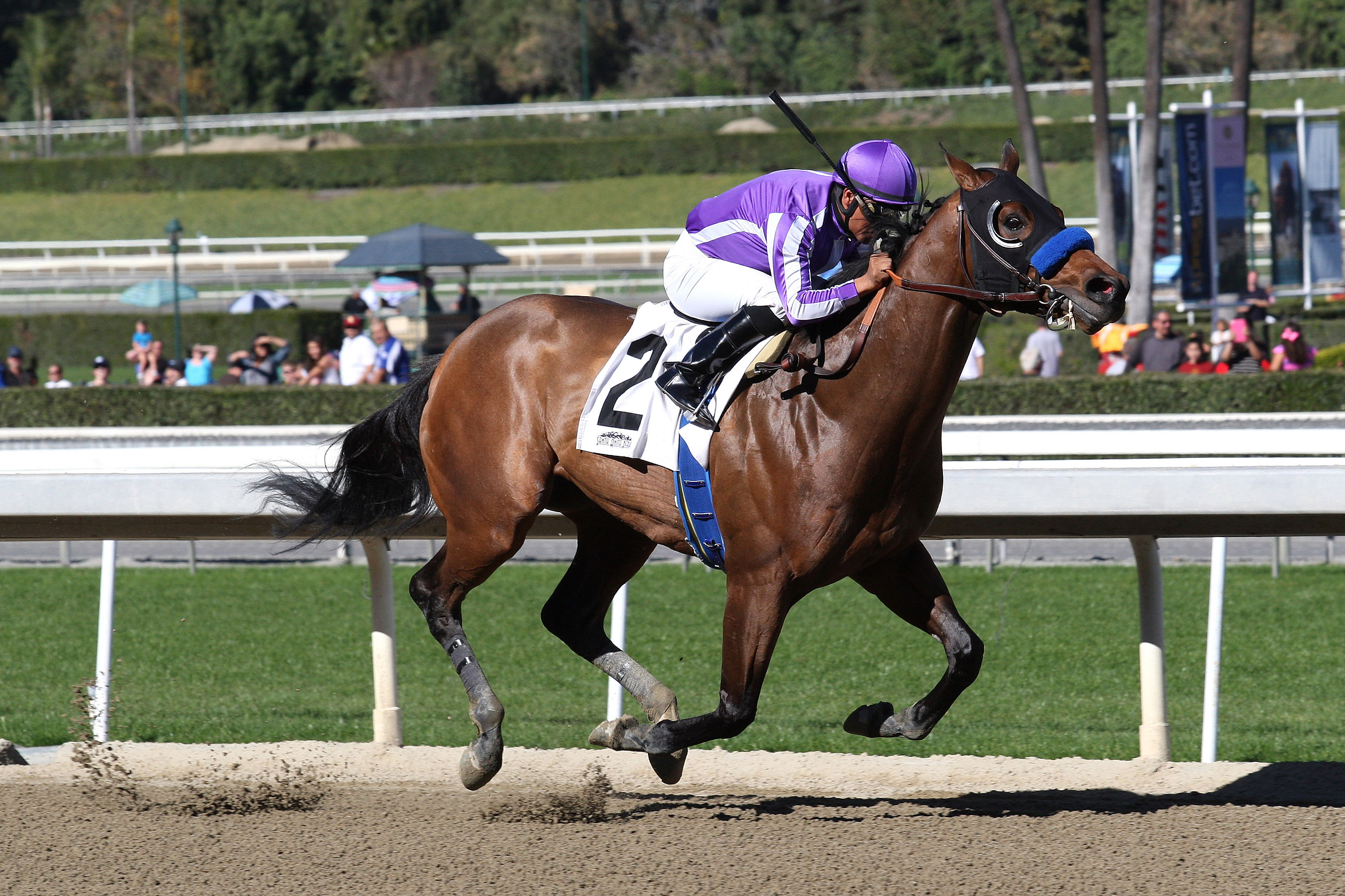Indianapolis wins the San Pedro