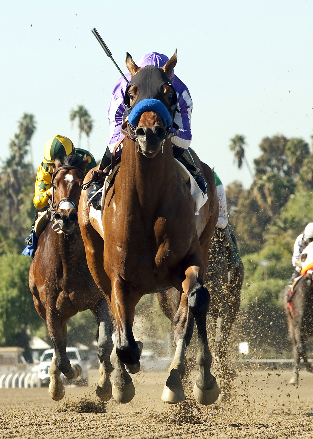 Indianapolis wins the San Pedro
