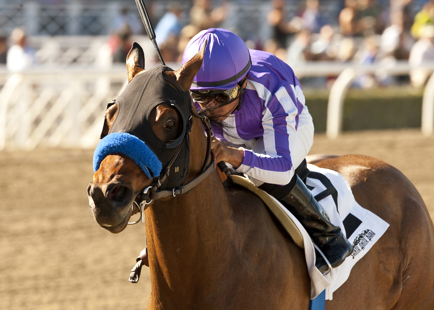 Indianapolis wins the San Pedro