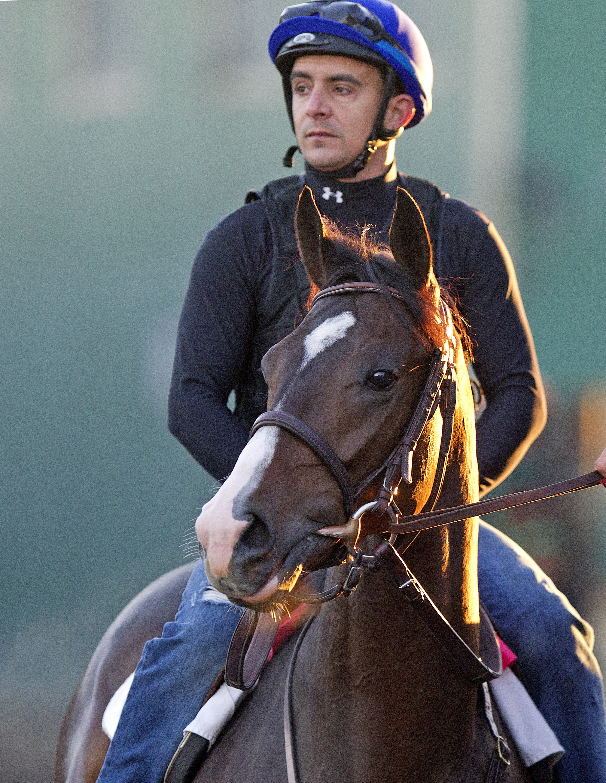 Indianaughty at Golden Gate Fields in February