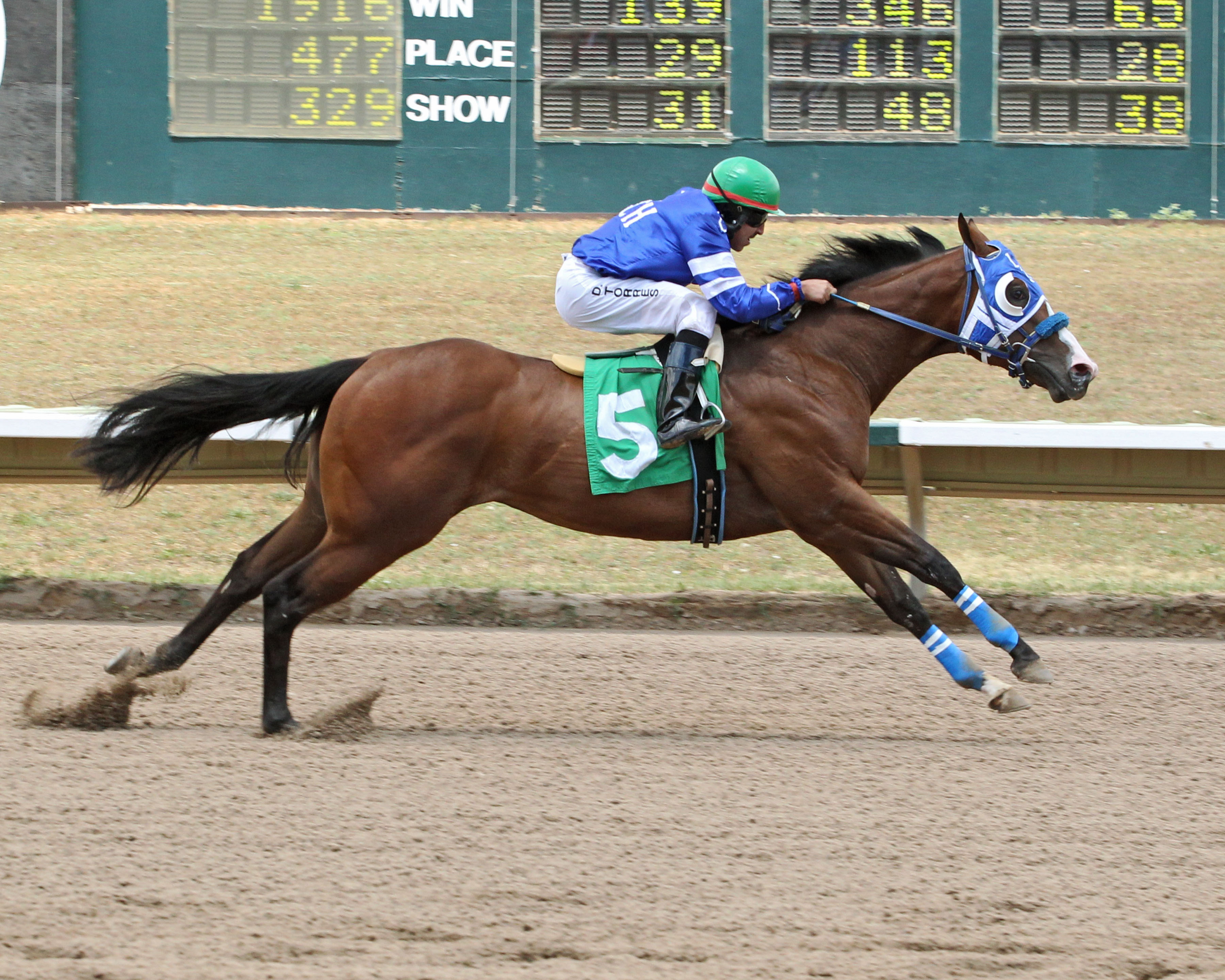 Indomable Cartel wins the Cherry Creek Futurity Trial