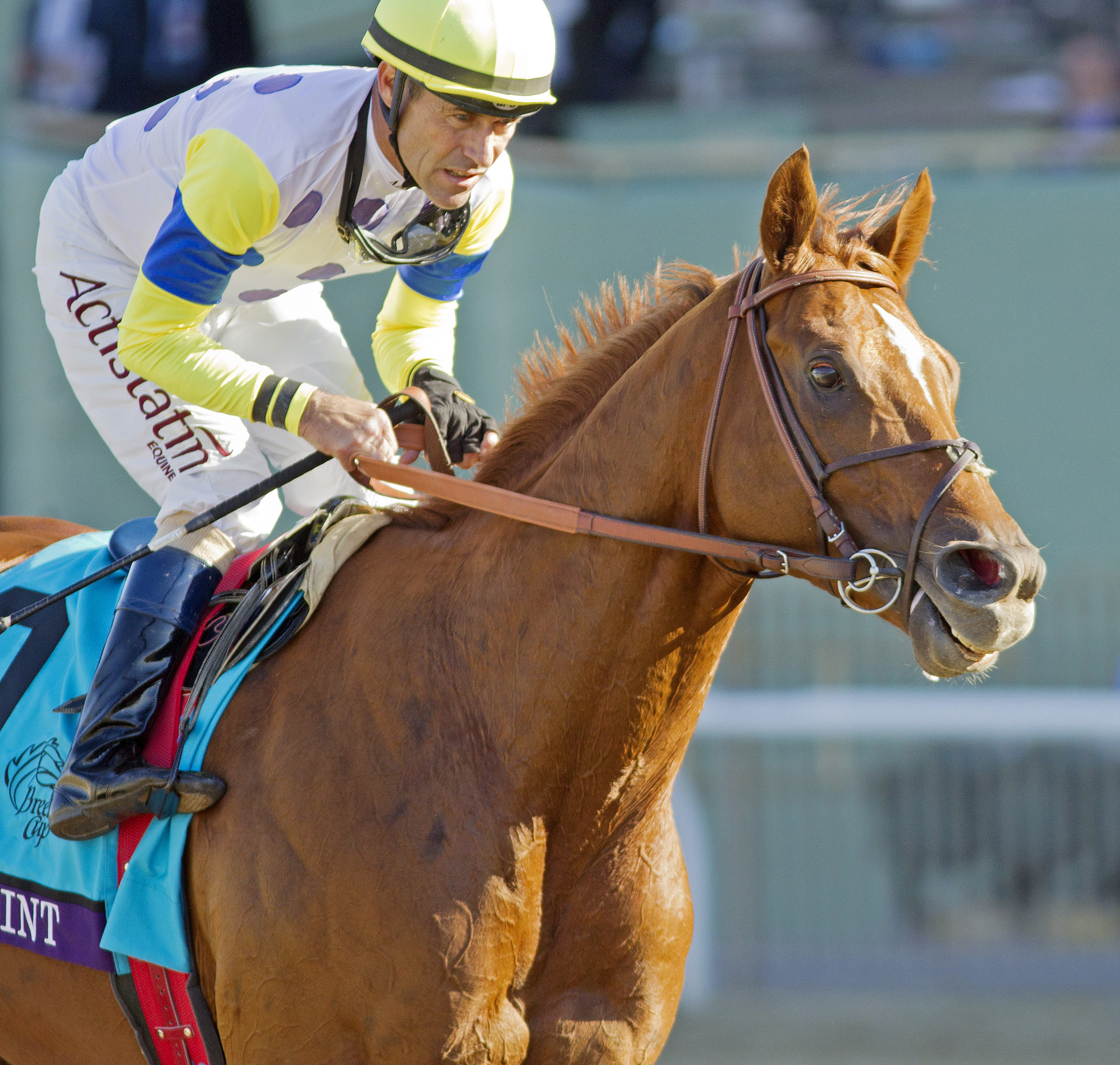 Indy Point finishes third in the Breeders' Cup Turf