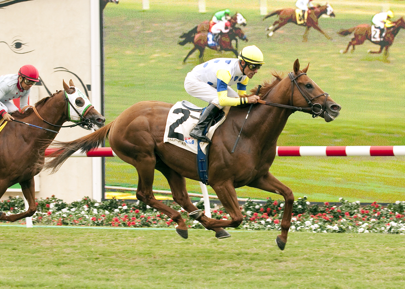 Indy Point, Wickerr Stakes