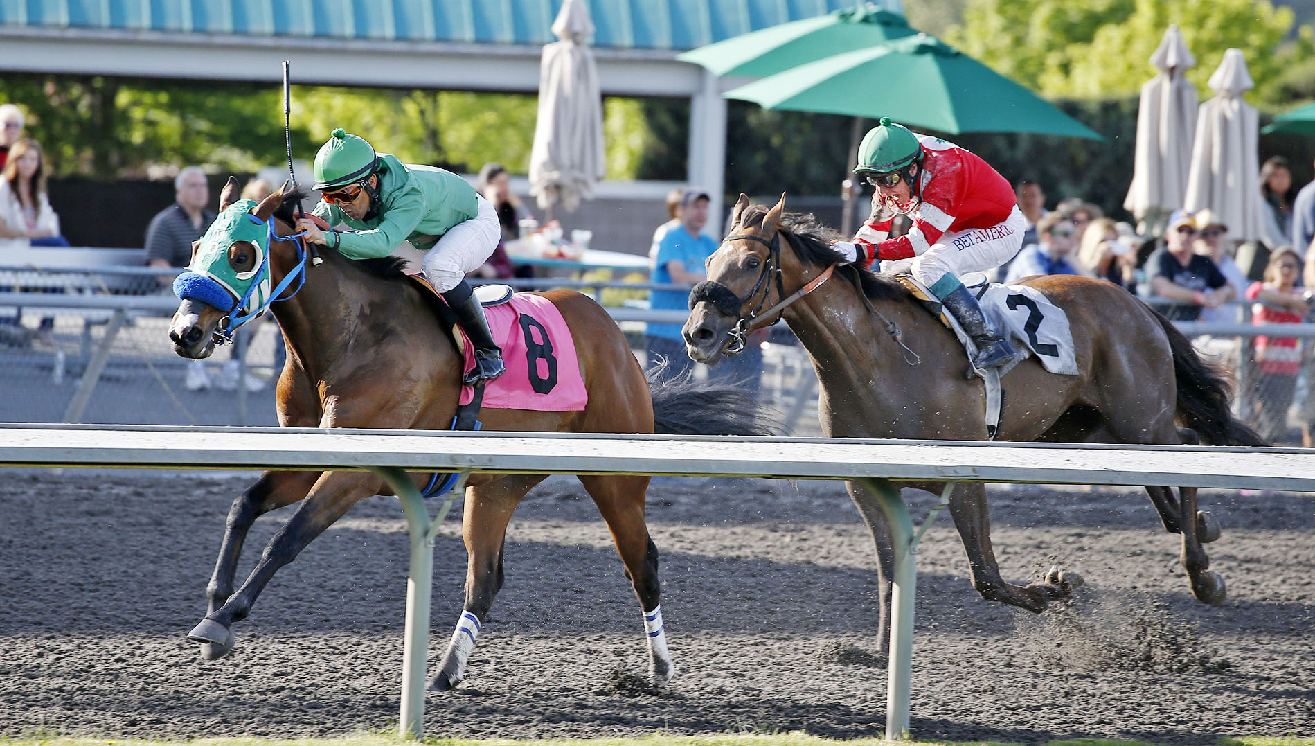 Inexcess Again wins a claiming race at Emerald Downs