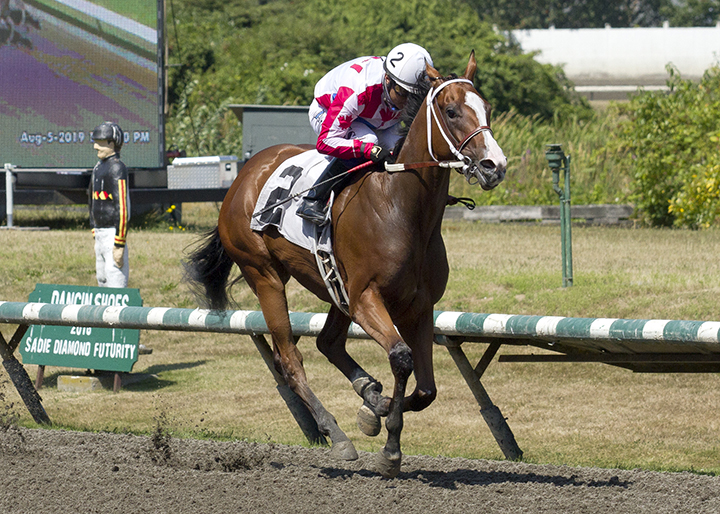 Infinite Patience wins the 2019 British Columbia Cup Debutante at Hastings