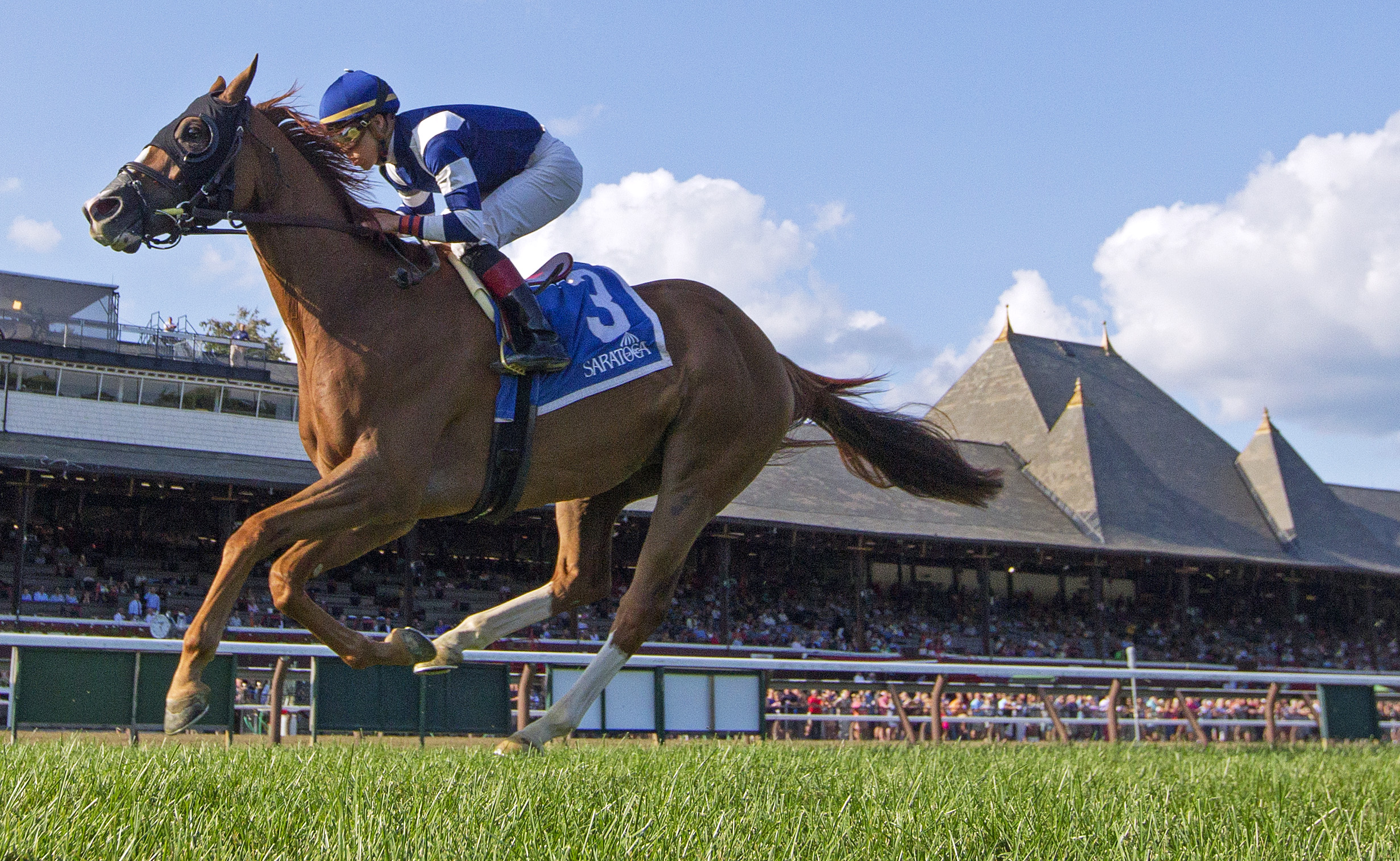 Infinite Wisdom wins the 2017 John's Call Stakes