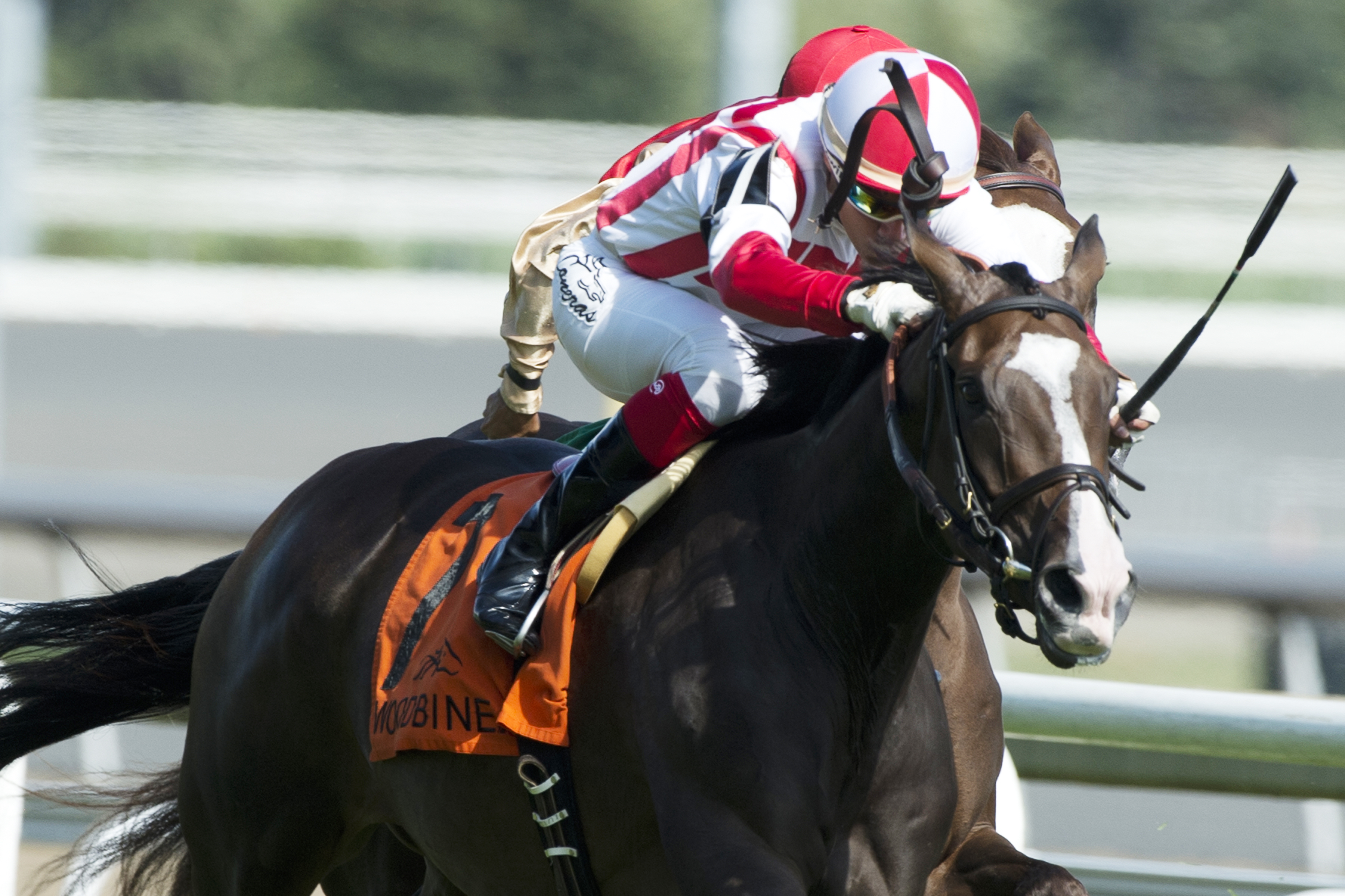 Inflexibility wins the 2017 Wonder Where Stakes