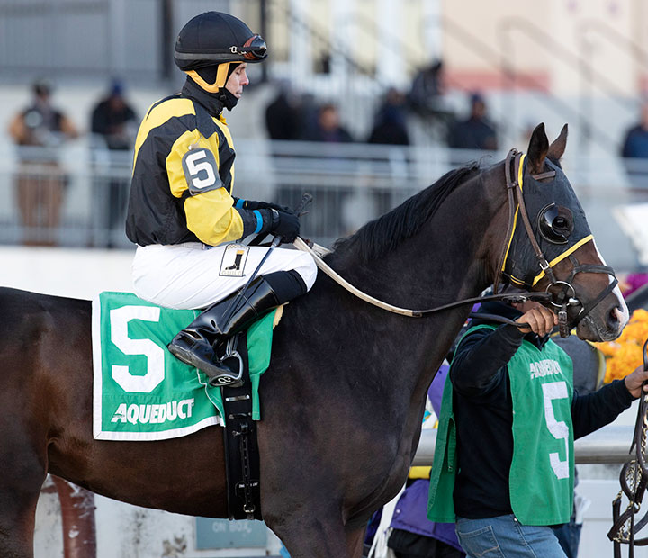 Informative at Aqueduct on Dec. 7