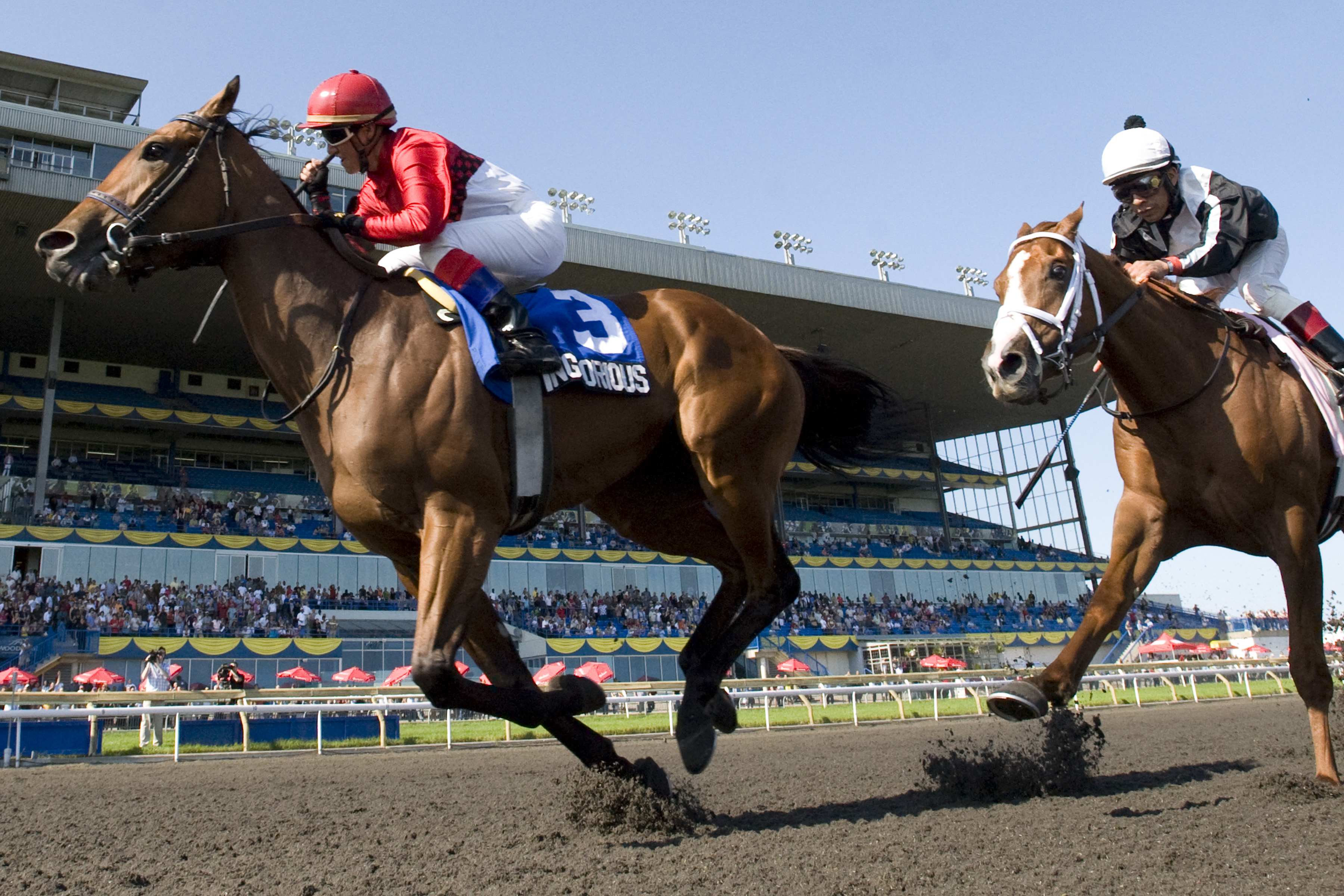Inglorious/Woodbine Oaks