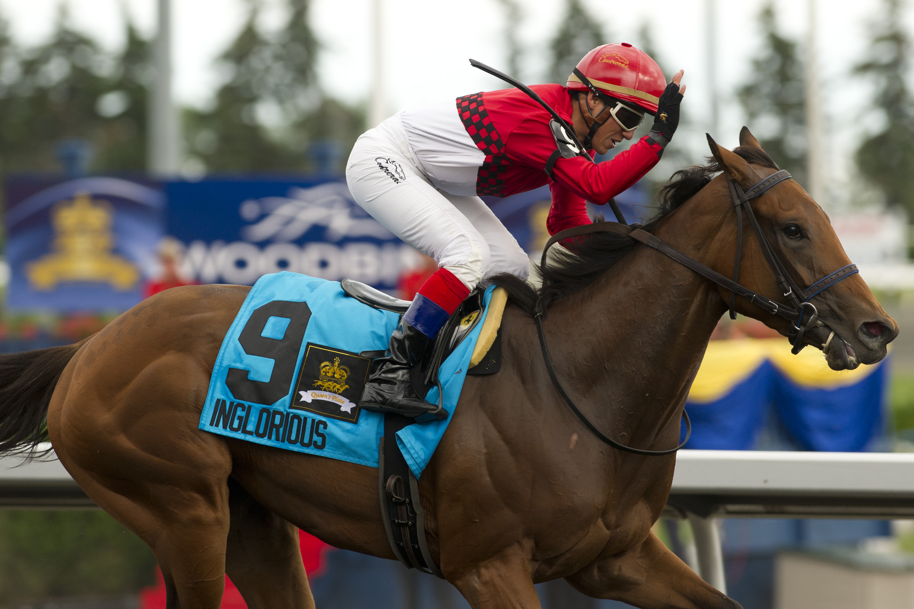 Inglorious/Queen's Plate