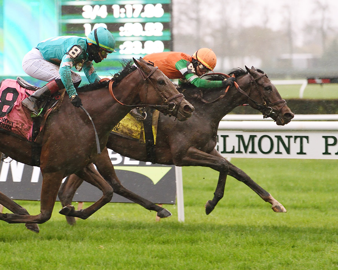 Ingrassia wins the 2020 Chelsey Flower Stakes at Belmont Park